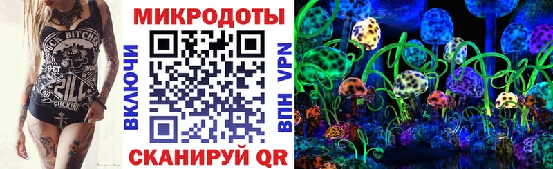 Псилоцибиновые грибы MAGIC MUSHROOMS  Бабушкин 